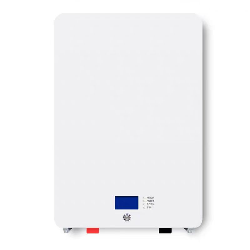 6000+Cycles 2KW 3KW 5KW Wall M - Cycling Gear Wall Storage 评论和价格